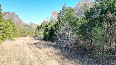 1207 Santa fe Rd, Horseshoe Bend, AR 72512 - photo 6