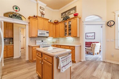 35841 Midden Path, Zephyrhills, FL 33541 - photo 4