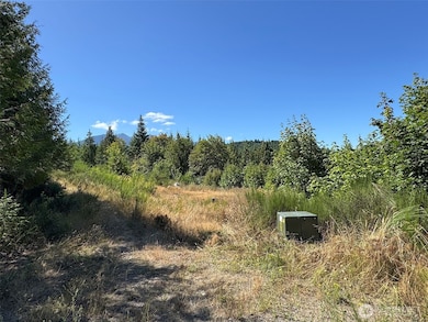 596 Watershed Rd, Port Angeles, WA 98362 - photo 7