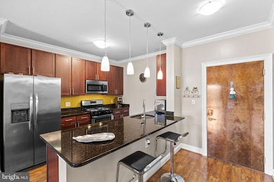 The Isabella At Monticello Mews unit 500, Alexandria, VA 22312 - photo 3