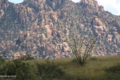 E2 68 E Tom Jeffords unit LOT 68, St. David, AZ 85630 - photo 5