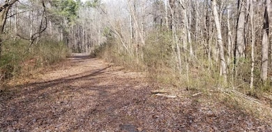 3966+8 Loring Way NW, Kennesaw, GA 30152 - photo 6