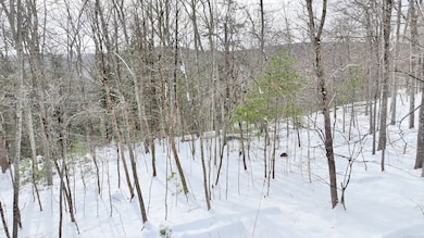 0 Prock Hill Rd, Colebrook, CT 06021 - photo 5