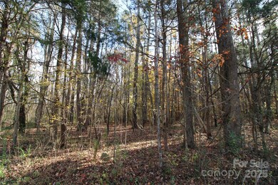 Lot 3 6.5+/-AC Bookout Rd, Rock Hill, SC 29730 - photo 4
