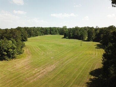 00 Dorsey Rd, Milam, TX 75959 - photo 6