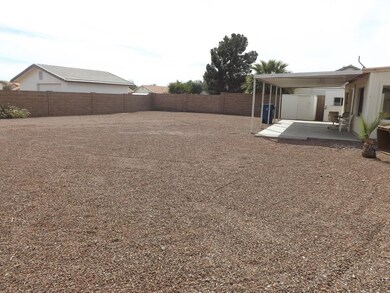Back yard