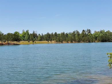 2033 White Buck Ct, Cleveland, TX 77328 - photo 5