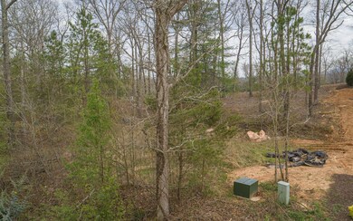 Additional View