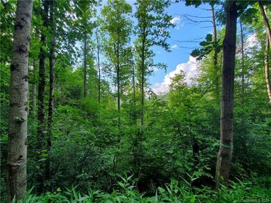 512 Langford Branch Rd, Cane River, NC 28714 - photo 7