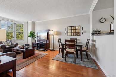 The Residences at Jefferson Place unit 715, White Plains, NY 10605 - photo 5