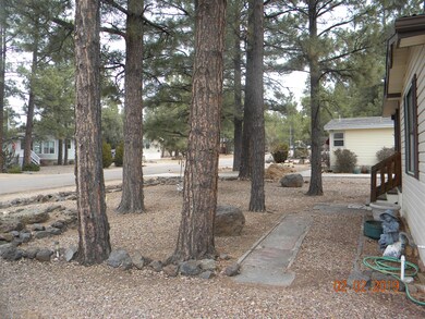 4961 S 29th St, Show Low, AZ 85901 - photo 6