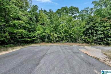 6722 Wesson Cir unit 4, Pinson, AL 35126 - photo 2