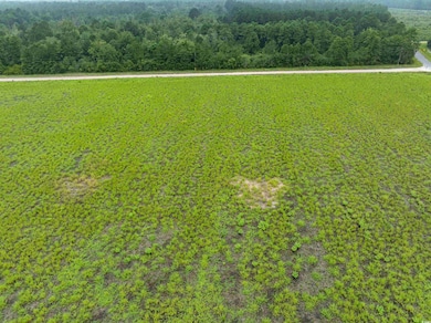 TBD LOT 3 Tansy Rd, Loris, SC 29569 - photo 3