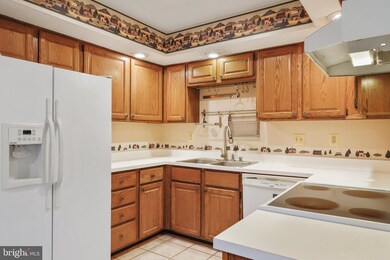 8075 Brightwood Ct, Ellicott City, MD 21043 - photo 4