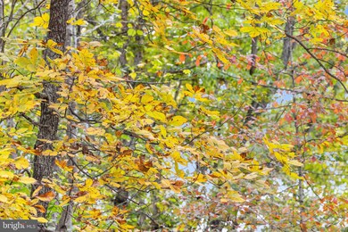 0 Dreamland Rd unit B VACU2006336, Jeffersonton, VA 22724 - photo 6