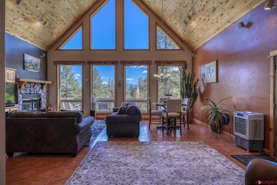 569 Eight Mile Loop, Pagosa Springs, CO 81147 - photo 5