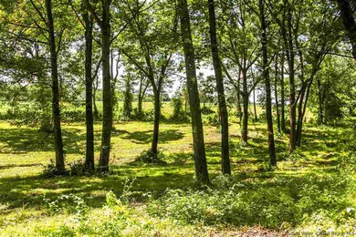 207 Pleasantvale Rd, Tivoli, NY 12583 - photo 5