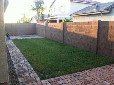 backyard 1
