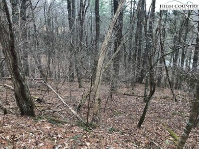 Lots 13-17 Panorama Dr, Todd, NC 28684 - photo 5