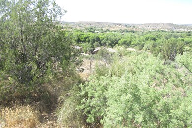 IMG_0767