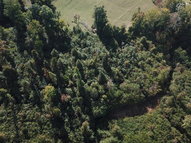 0 New Corinth Rd unit 1132033, Blaine, TN 37709 - photo 4