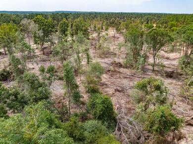 Leaf_River_Parcel_7-4