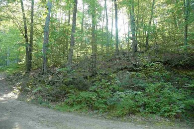 528 Berry River Rd, Barrington, NH 03825 - photo 4