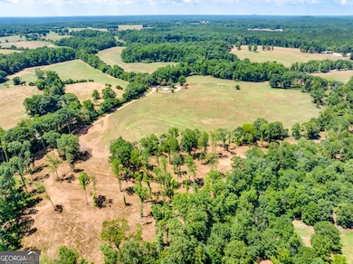 1650 & 1620 Locklin Cemetery Rd, Monroe, GA 30656 - photo 7