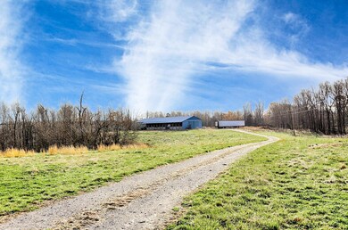 728 Petty Hollow Rd, Prospect, TN 38477 - photo 4