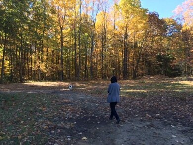 7834 W Youngren Rd, Chikaming Township, MI - photo 7