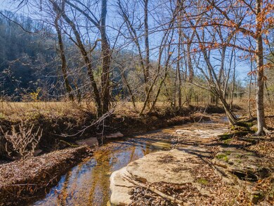 3527 Swindle Creek Rd, Linden, TN 37096 - photo 4