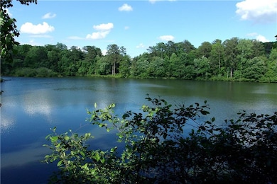Water view with a forest