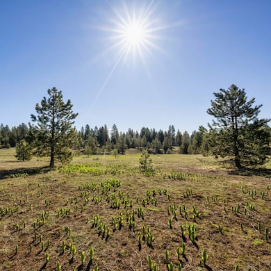 Lot 34 To Be Determined unit 34, McCall, ID 83638 - photo 2