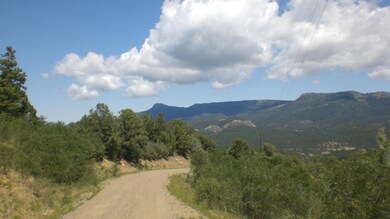 36282 Lodgepole Trace unit Lot F14, Trinidad, CO 81082 - photo 6