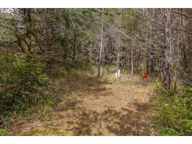 11119 Pacific Way, Long Beach, WA 98631 - photo 6