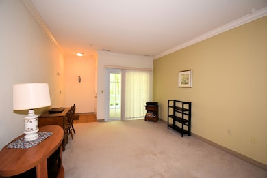 Spacious Living Room