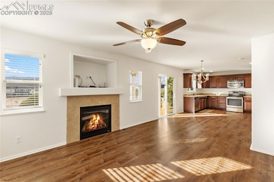 1408 Red Mica Way, Monument, CO 80132 - photo 5