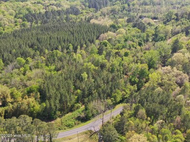 Tbd Nicholson Rd, Rockingham, NC 28379 - photo 2