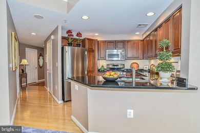 4490 Market Commons Dr unit 410, Fairfax, VA 22033 - photo 7