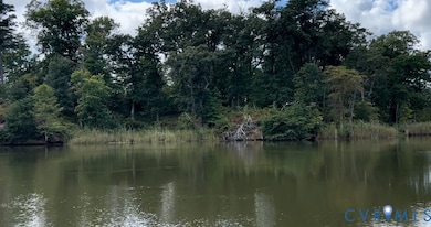 0 Piscataway Creek Island unit 2532532, Essex, VA 22454 - photo 2