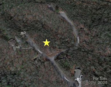 TBD Elaqua Ct unit 54 & 55A/26, Brevard, NC 28712 - photo 3