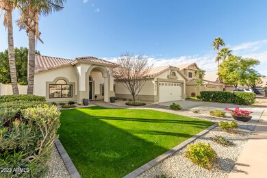 3 - Palo Verde