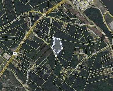 0 Ortho Ln, Cross, SC 29436 - photo 4