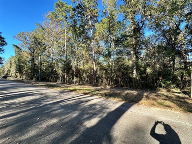 16136 Plaster Cir, Conroe, TX 77303 - photo 3