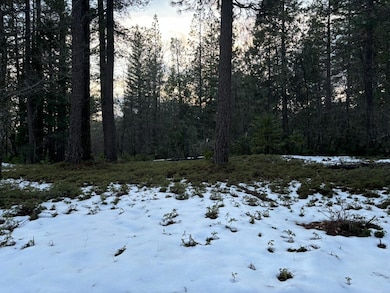 164 Vireo Way, Arnold, CA 95223 - photo 5