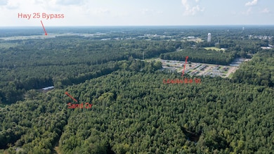 33.6 acres E Side Sand Rd, Starkville, MS 39759 - photo 4