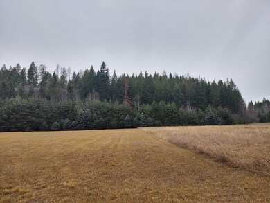 IMG_20211203_133656109_HDR