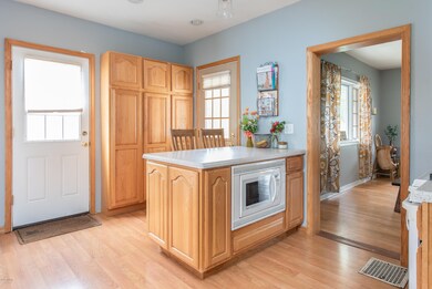 1017 N Hudson St, Lowell, MI 49331 - photo 5