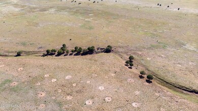 000-A1 Kirby Lane Parcel A1 Ln, Ash Fork, AZ 86320 - photo 7