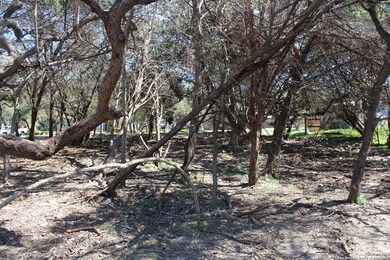 535 Ridgerock Dr, Canyon Lake, TX 78133 - photo 5